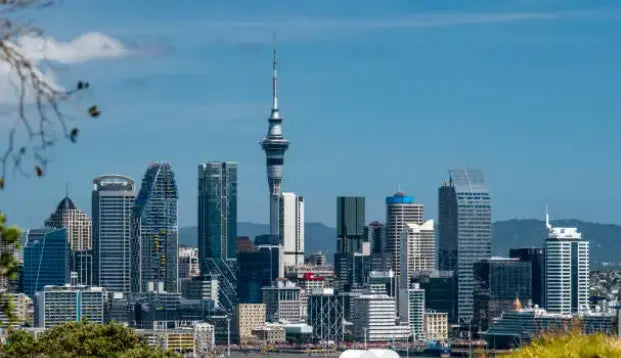 Can You Buy Nicotine Pouches in New Zealand?-nikopouch